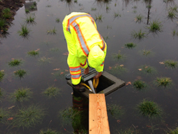 Monitoring at Lot 10 bioretention planter