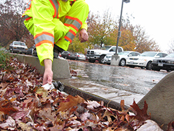 Monitoring at Lot 7 South infiltrating bioswale