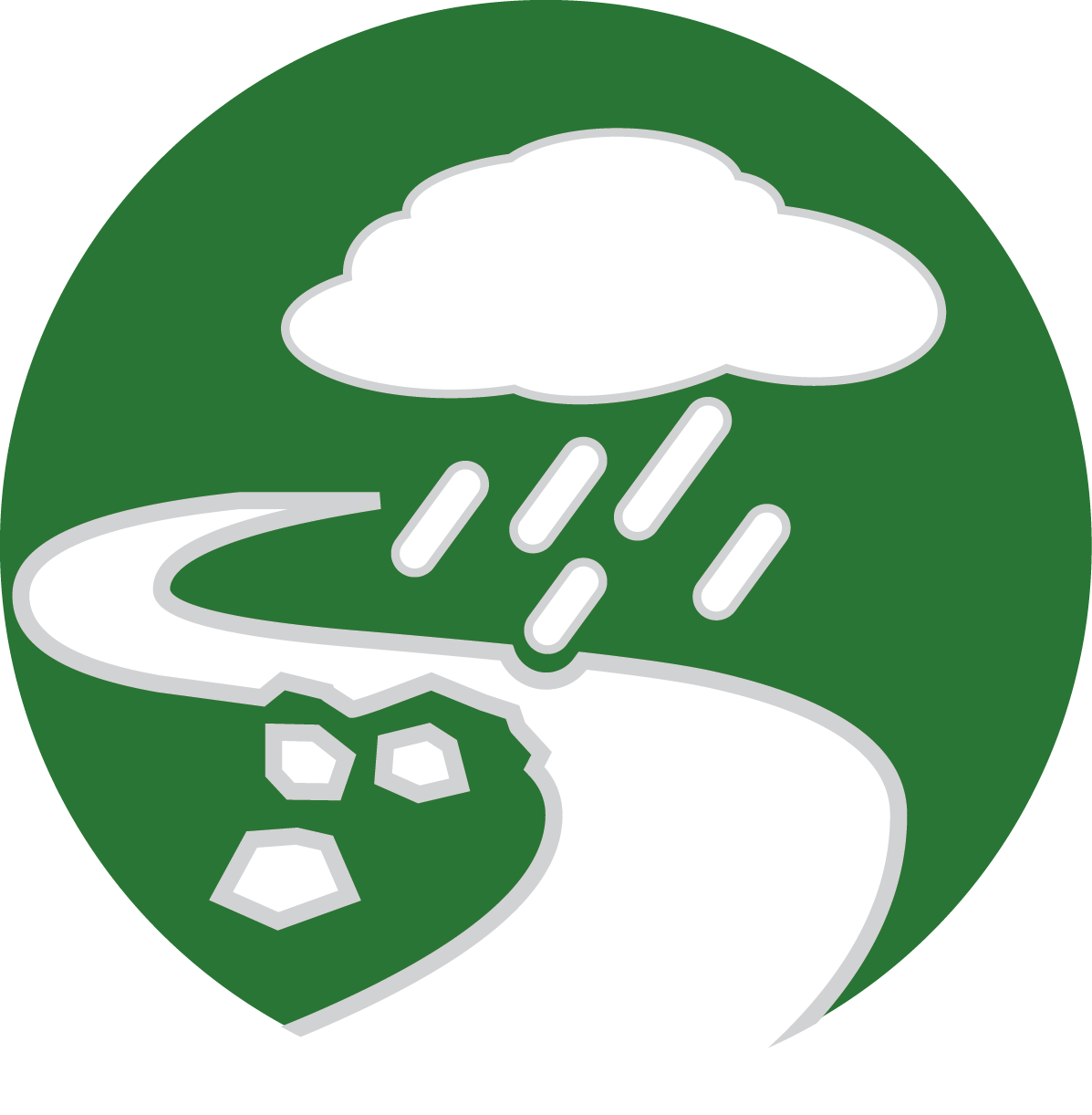 Bacteria icon