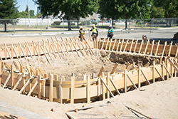 Lot 7 North planting in progress